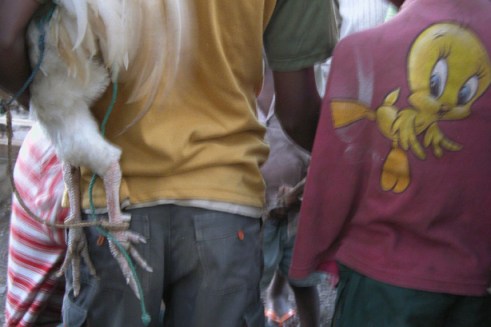The men of the village place their bets for a cockfight that begins before dark. (Photo by Maria Bakkalapulo)